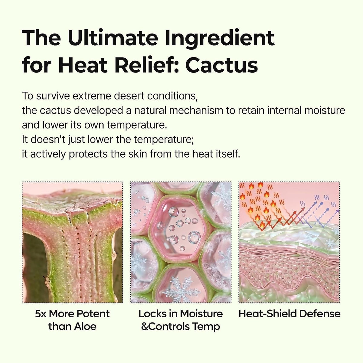 Dr.Melaxin Cactox Pore Relief Multi Balm Stick Dr.Melaxin